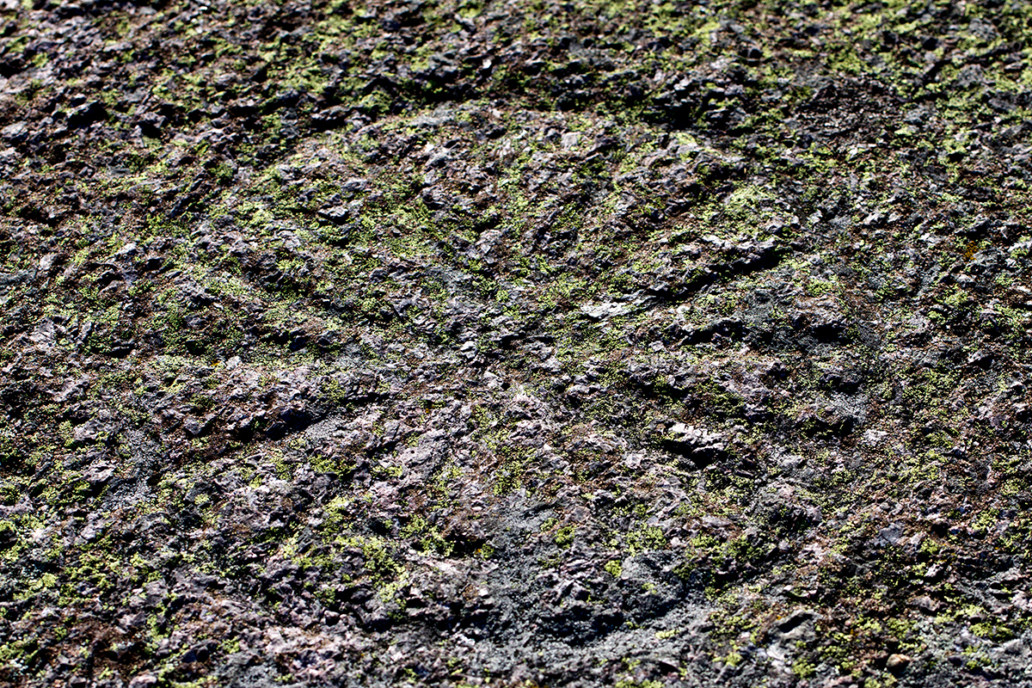 Kompassrose. Østre Bolæren. Foto-Jorgen-Kirsebom