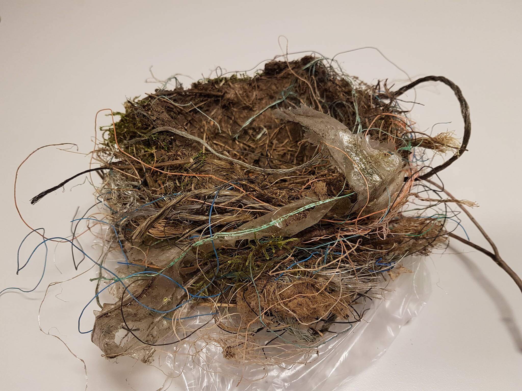 fuglereir av plast