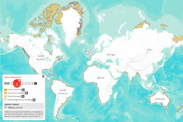 Kart som viser utbredelse for polarsnipe fra BirdLife International