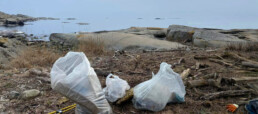 Søppelposer og svaberg. Foto Anne Sjømæling