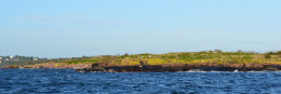 Lav rødlig øy Fjærskjær. Foto: Egil Soglo