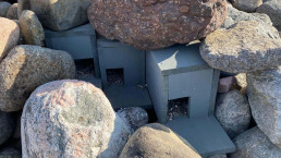 Rugekasser under steiner i en ur. Foto: Færder nasjonalpark