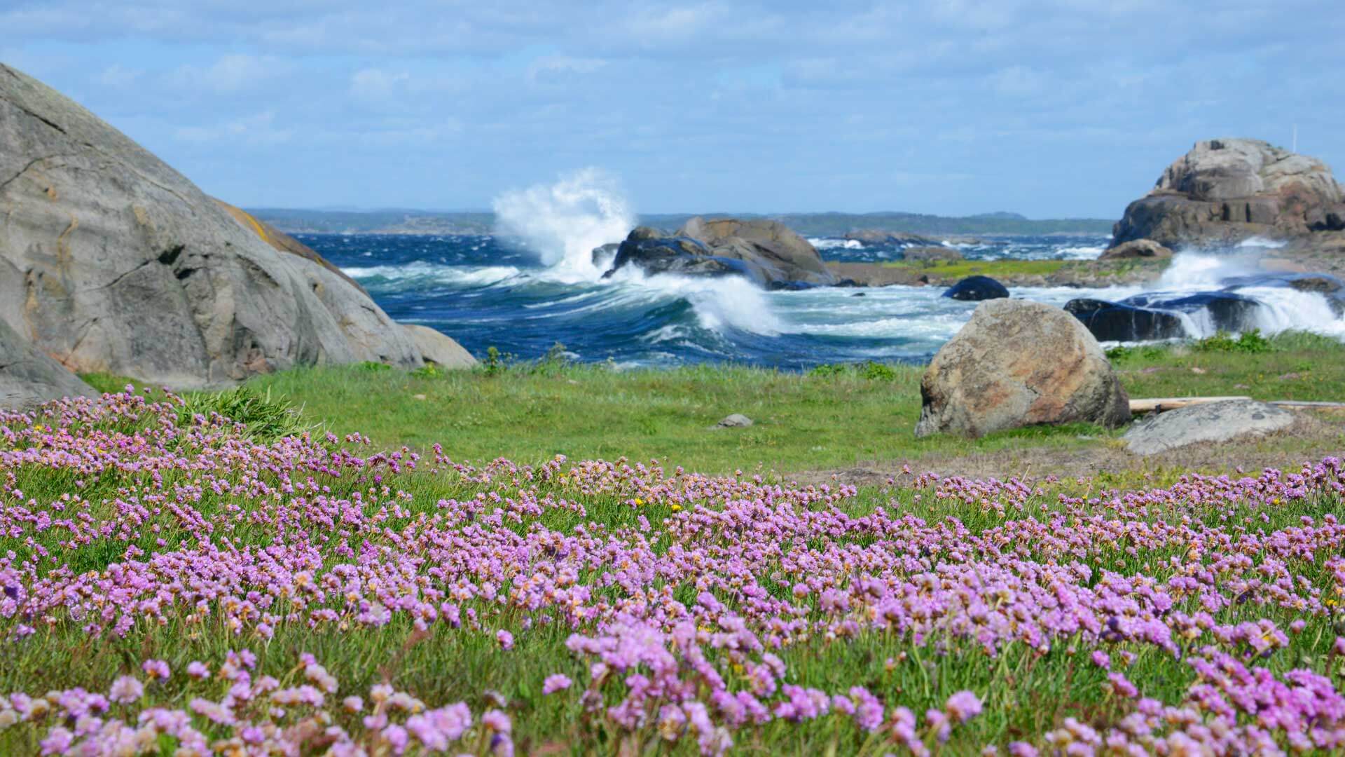 Fjærekoll-Moutmarka-Færder-nasjonalpark