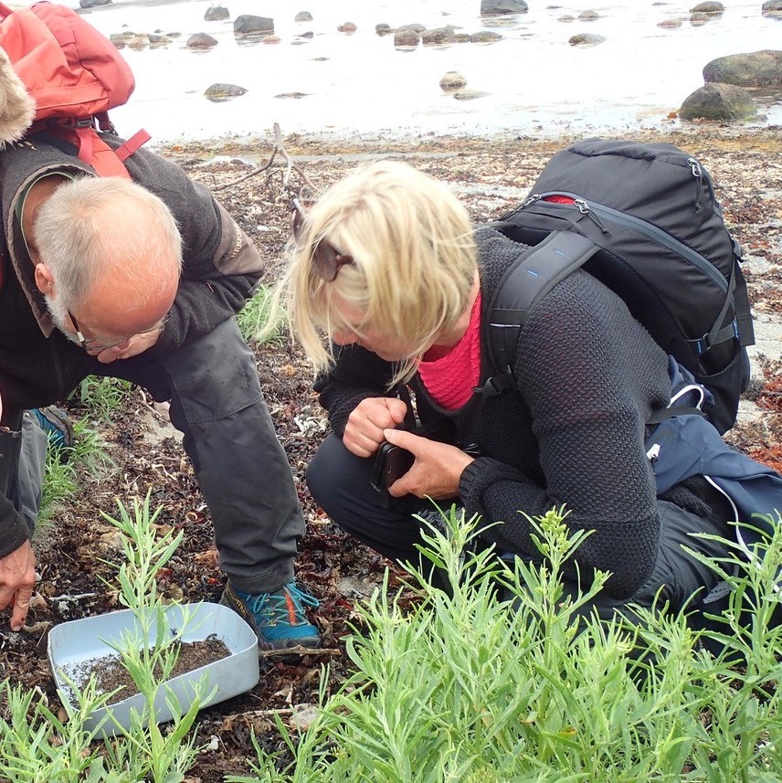 Arne-Fjellberg-Anne-Sjømæling-Sandø-Foto-Sissel-Christoffersen