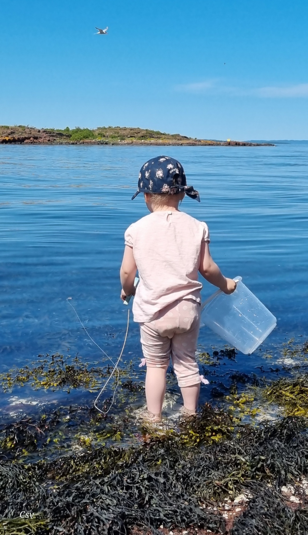 krabbefiske i nasjonalparken foto Christin Svendsen