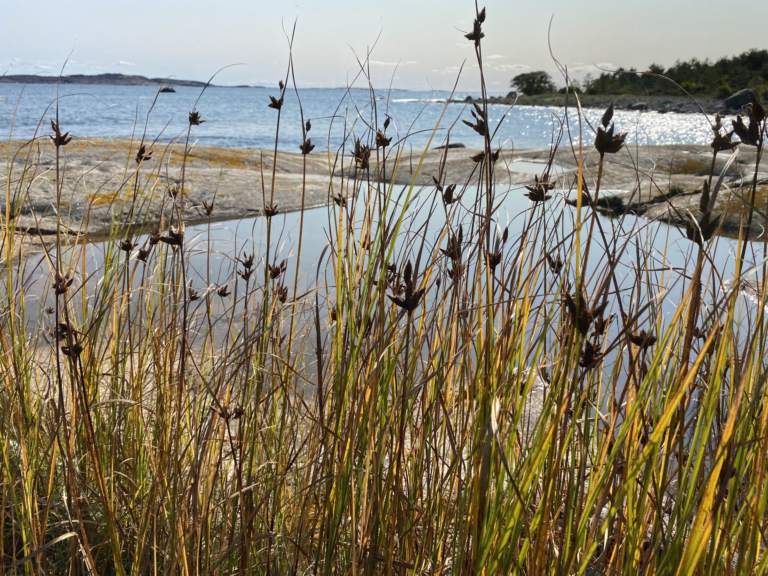 Sandø-foto-A-Sjømæling